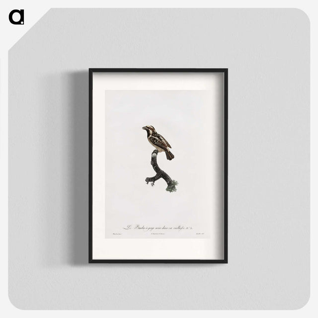1-83_Des-Oiseaux-de-Paradis_blk