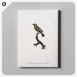 1-83_Des-Oiseaux-de-Paradis_canvas