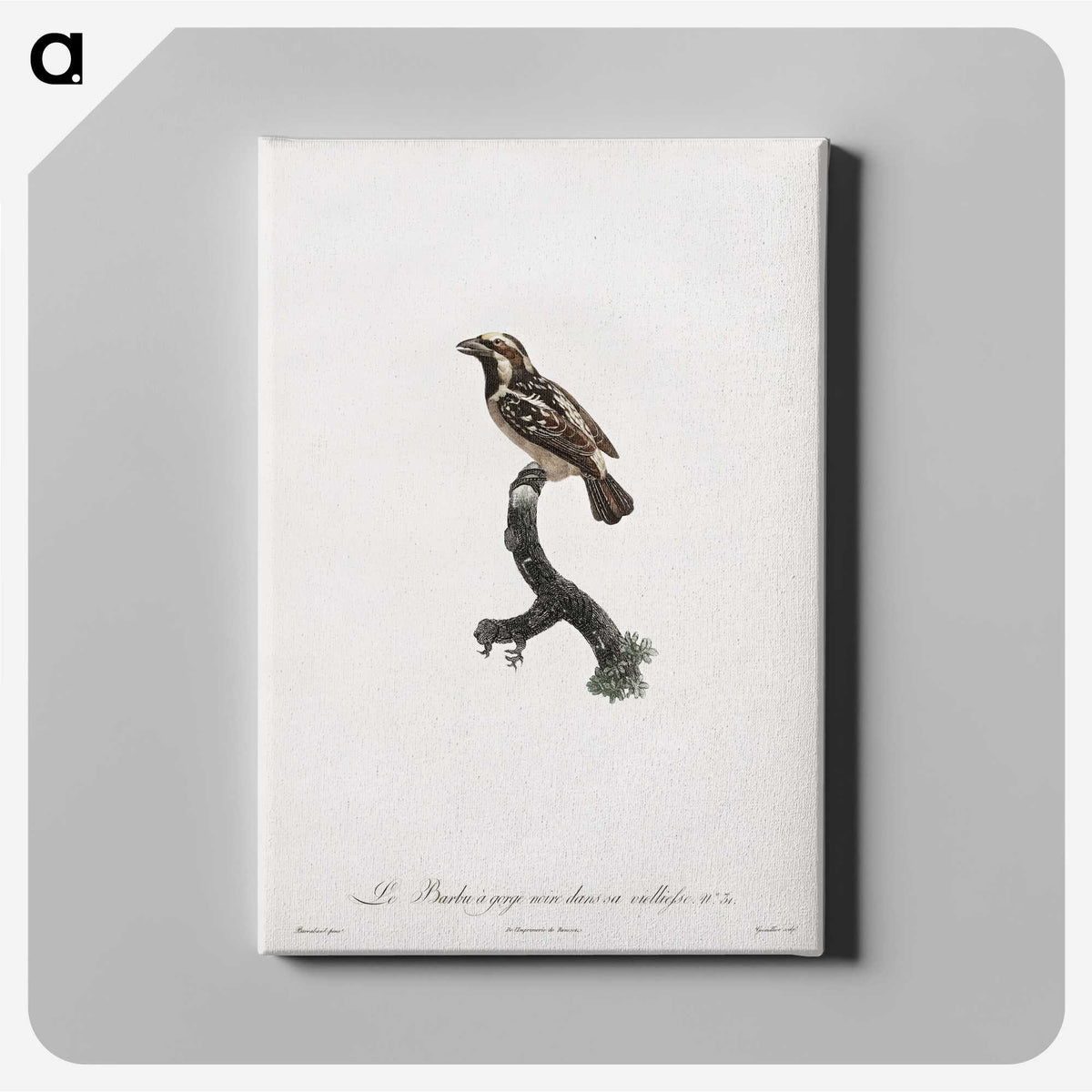 1-83_Des-Oiseaux-de-Paradis_canvas