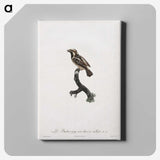 1-83_Des-Oiseaux-de-Paradis_canvas