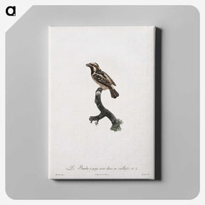 1-83_Des-Oiseaux-de-Paradis_canvas