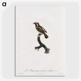 1-83_Des-Oiseaux-de-Paradis_picture-crop