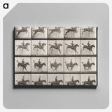 1-83_Eadweard-Muybridge_canvas