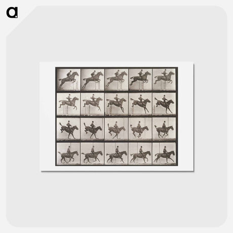 アートポストカード-Jumping Hurdle
 - エドワード マイブリッジ Postcard.