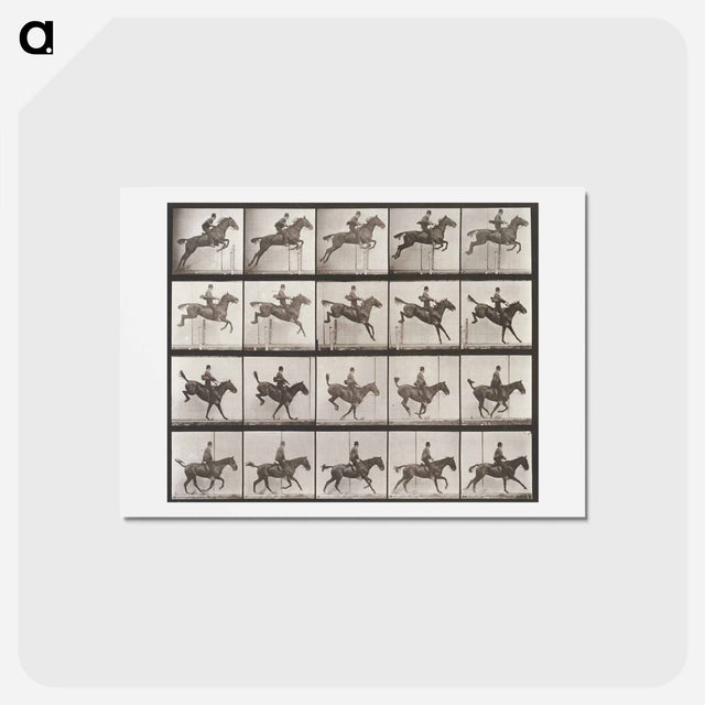 アートポストカード-Jumping Hurdle
 - エドワード マイブリッジ Postcard.