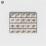 1-83_Eadweard-Muybridge_memo