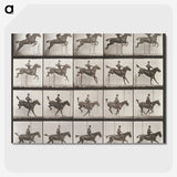 1-83_Eadweard-Muybridge_picture-crop