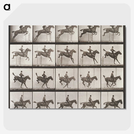 1-83_Eadweard-Muybridge_picture-crop