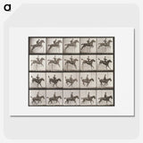 1-83_Eadweard-Muybridge_picture