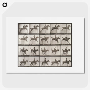 1-83_Eadweard-Muybridge_picture