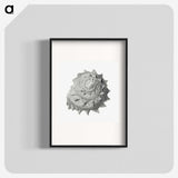 1-83_Ernst-Haeckel_blk