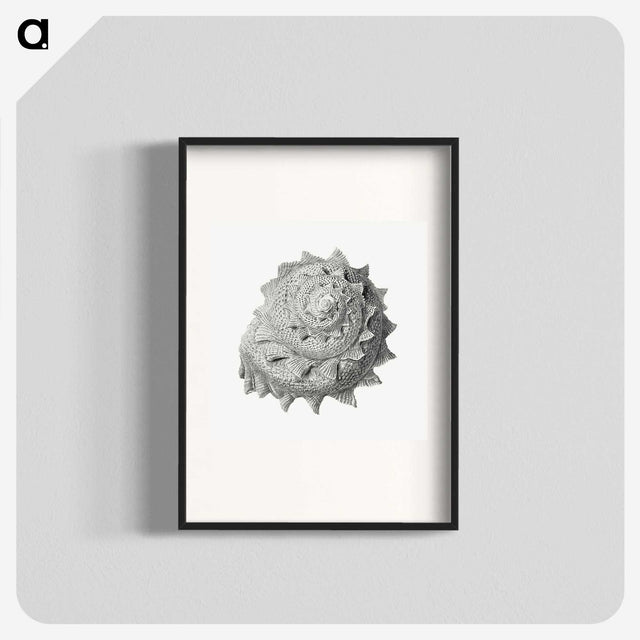 1-83_Ernst-Haeckel_blk