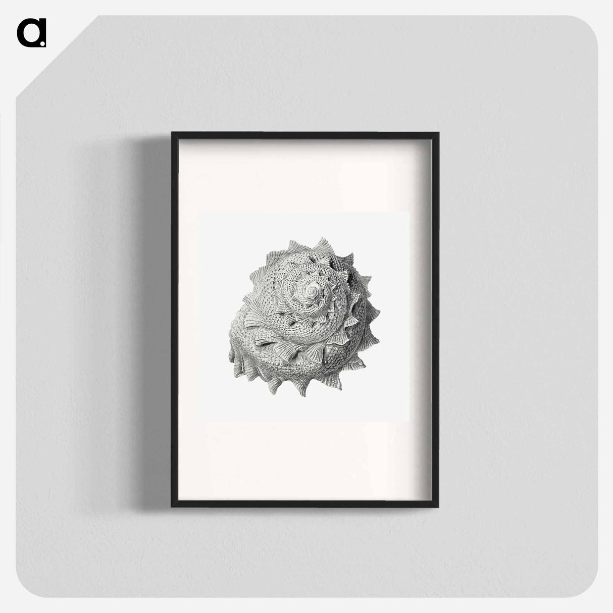 Vintage terrestrial snail illustration - エルンスト ヘッケル Poster.