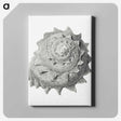1-83_Ernst-Haeckel_canvas