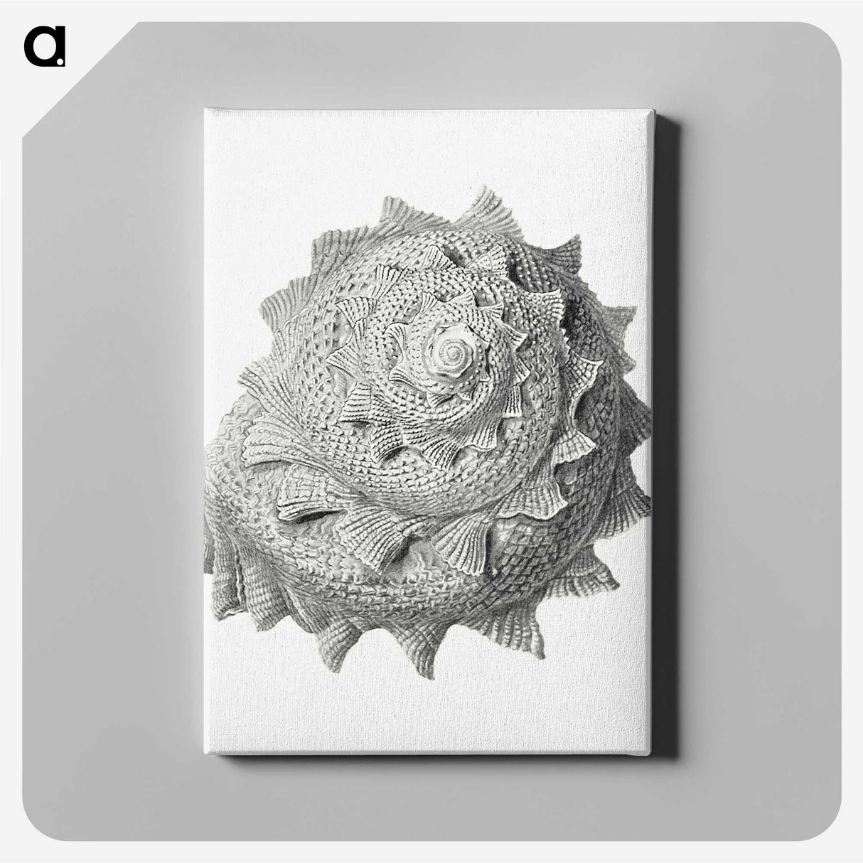 1-83_Ernst-Haeckel_canvas