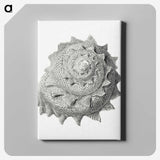 1-83_Ernst-Haeckel_canvas