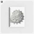 1-83_Ernst-Haeckel_memo