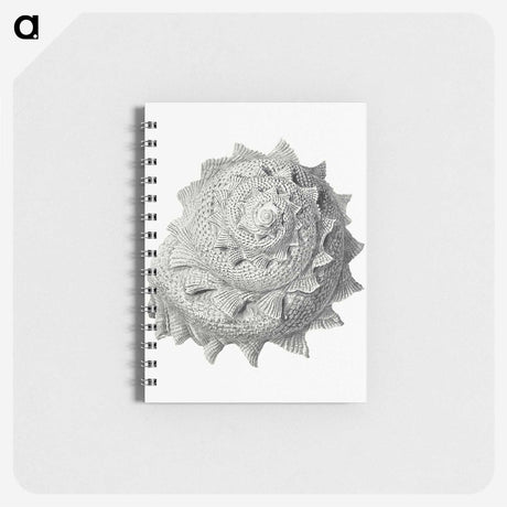 1-83_Ernst-Haeckel_memo