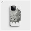 1-83_Ernst-Haeckel_phone