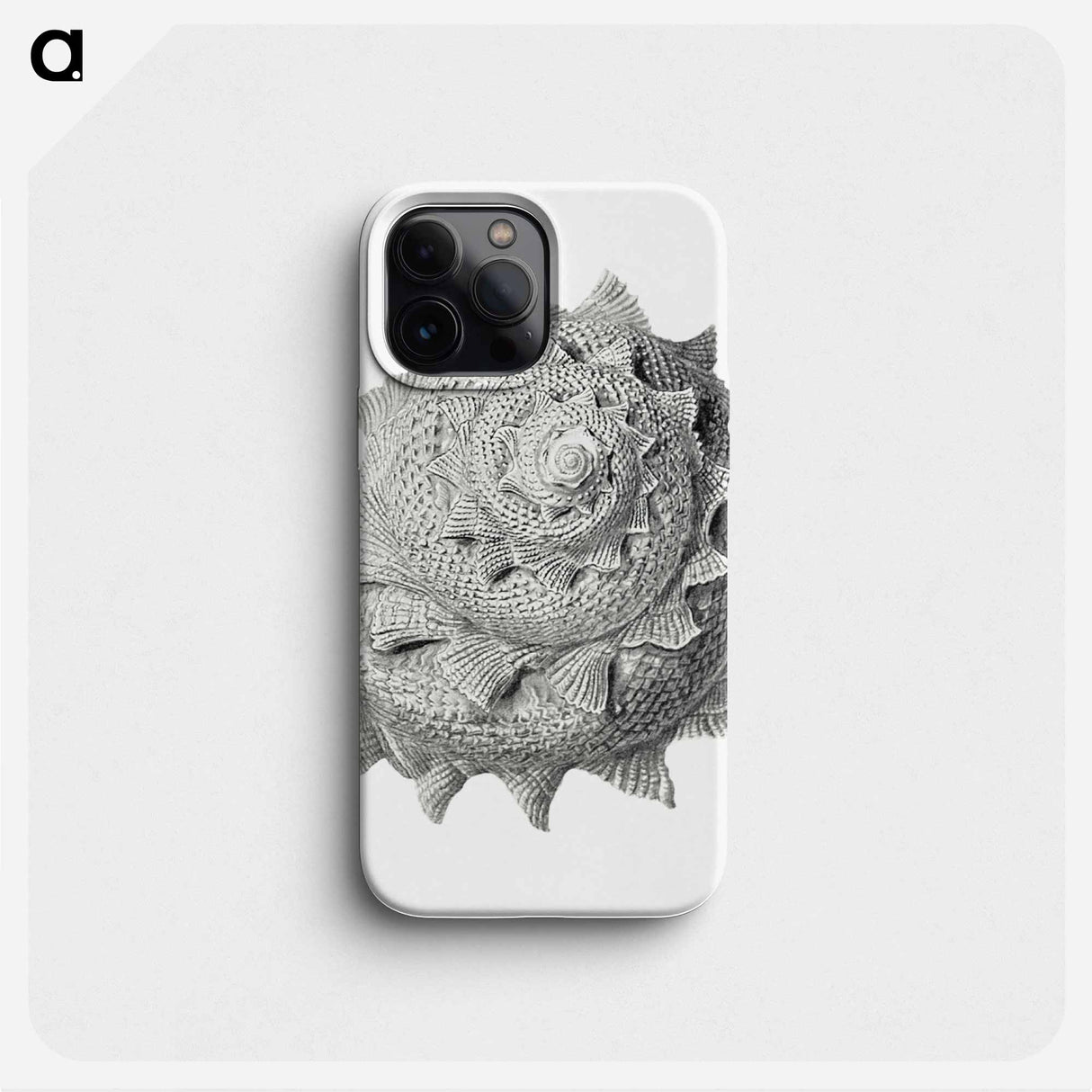 Vintage terrestrial snail illustration - エルンスト ヘッケル Phone Case.