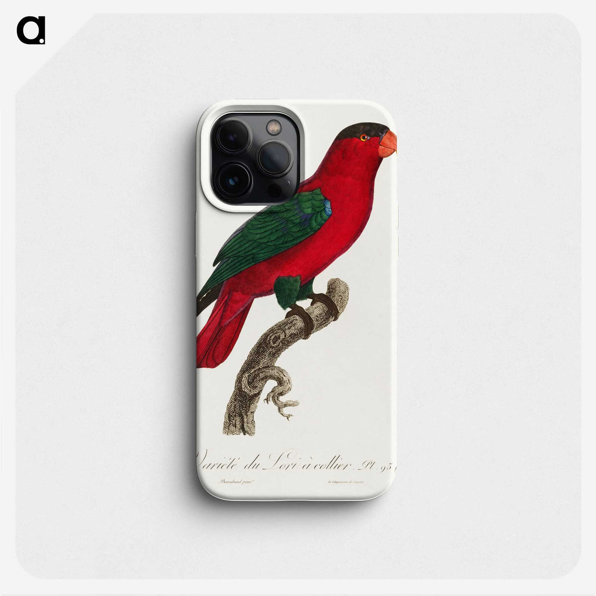 1-83_Francois-Levaillant_phone