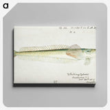 1-83_Frank-Edward-Clarke_canvas