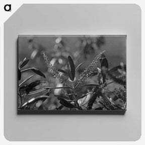 1-83_Frederick-Charles-Brockett_canvas