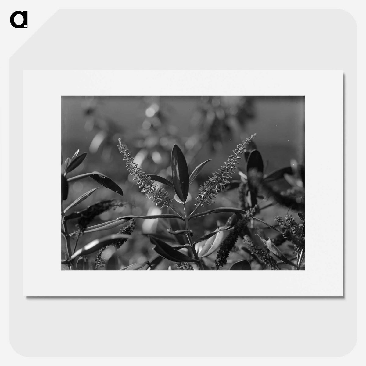 1-83_Frederick-Charles-Brockett_picture