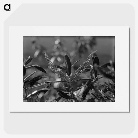 1-83_Frederick-Charles-Brockett_picture