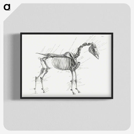 1-83_George-Stubbs_blk-crop