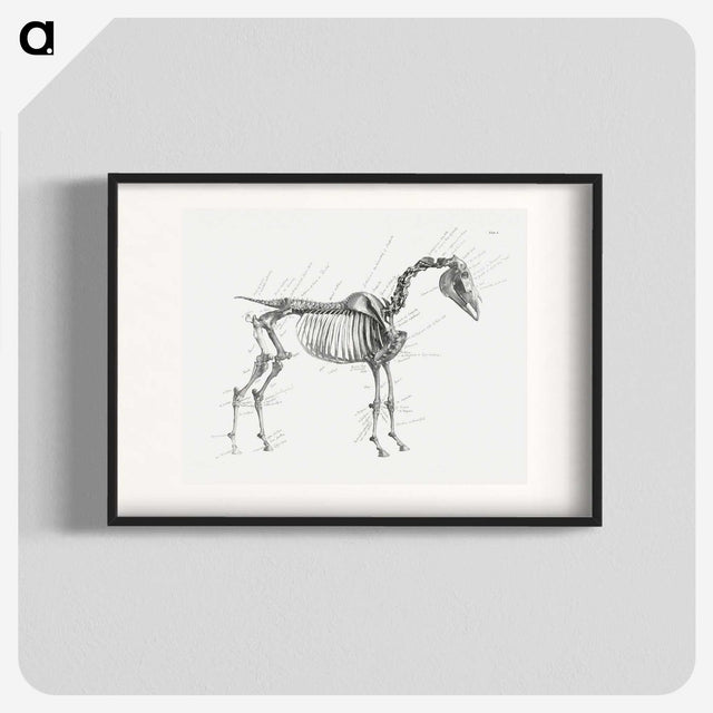 1-83_George-Stubbs_blk