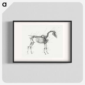 アートポスター-The Anatomy of the Horse
 - ジョージ スタッブス Poster.