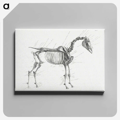 1-83_George-Stubbs_canvas
