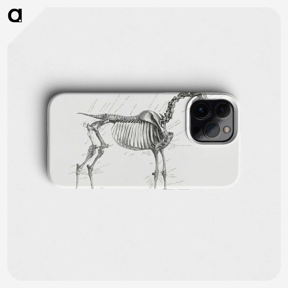 1-83_George-Stubbs_phone