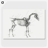 1-83_George-Stubbs_picture-crop
