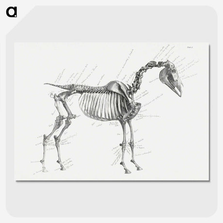 1-83_George-Stubbs_picture-crop
