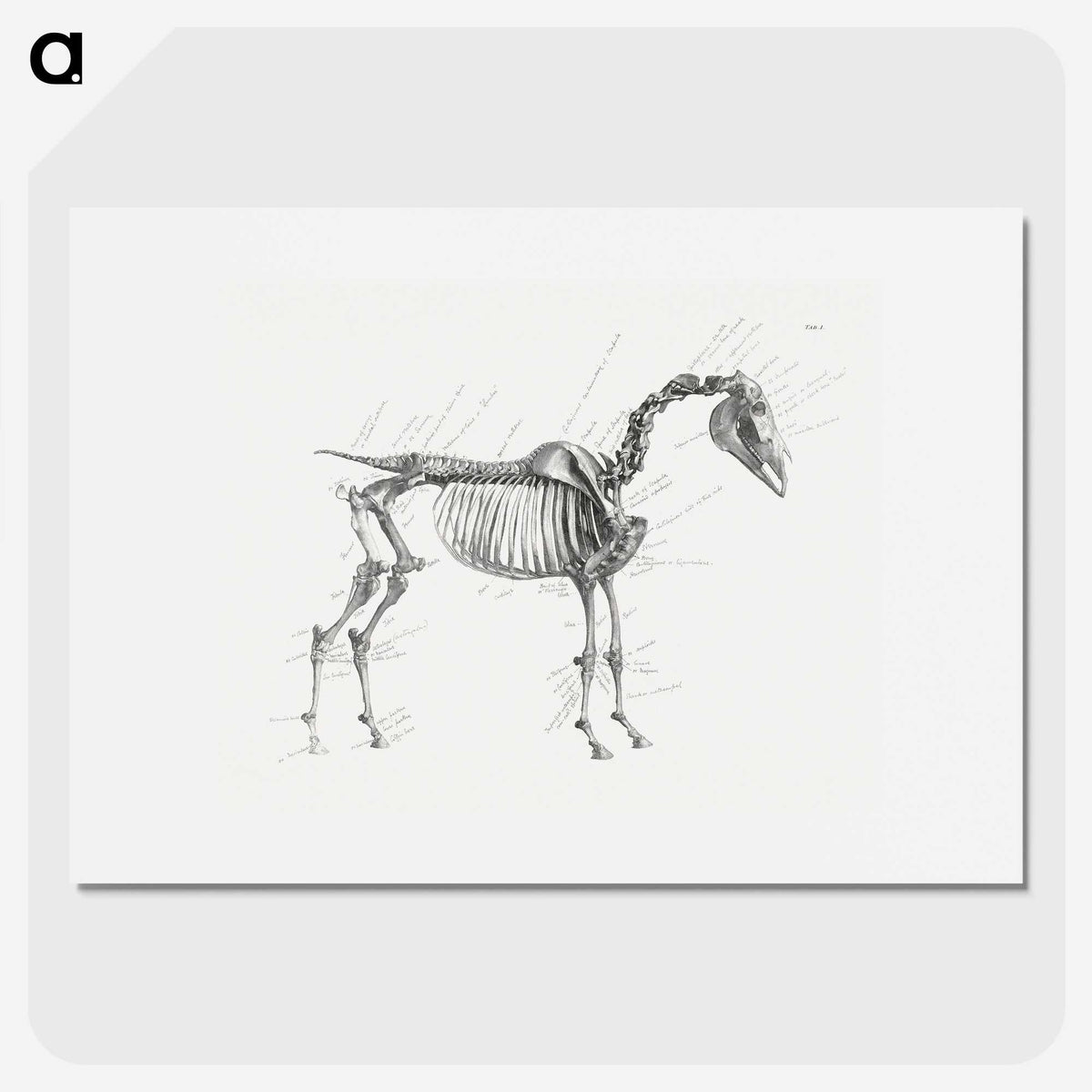 1-83_George-Stubbs_picture
