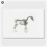 1-83_George-Stubbs_picture