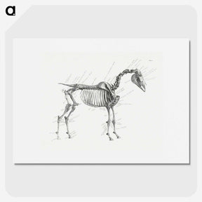 1-83_George-Stubbs_picture