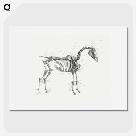 1-83_George-Stubbs_picture