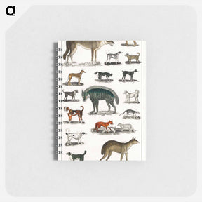 アートメモ帳-Canine and Feline Families
 - ゴールドスミスの生き生きとした自然 Memo.