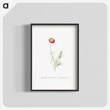 1-83_Histoire-des-Plantes-Grasses_blk
