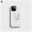 1-83_Histoire-des-Plantes-Grasses_phone