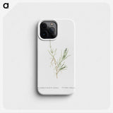 1-83_Histoire-des-Plantes-Grasses_phone