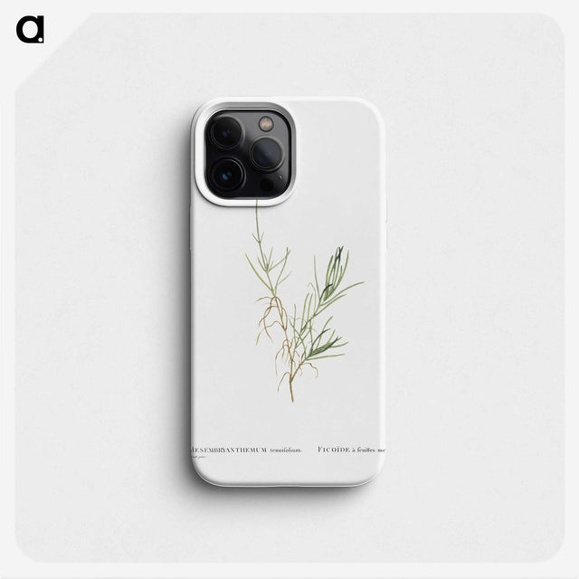 1-83_Histoire-des-Plantes-Grasses_phone
