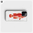 1-83_Ichtyologie-ou-Histoire-naturelle_phone