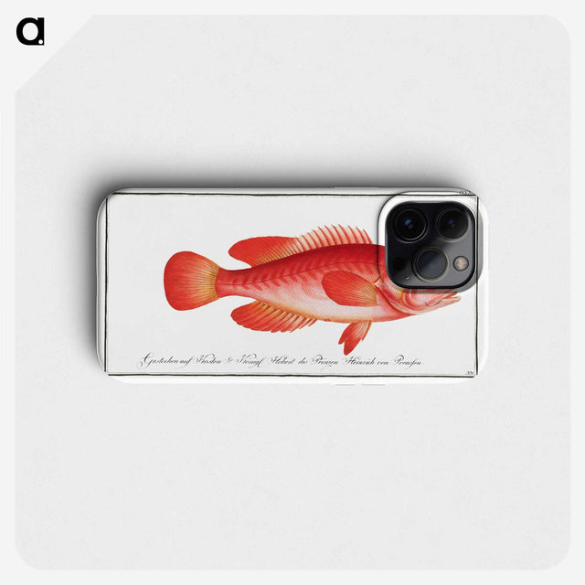 1-83_Ichtyologie-ou-Histoire-naturelle_phone