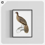 1-83_Indian-Zoology_blk-crop