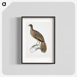 1-83_Indian-Zoology_blk