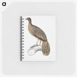 1-83_Indian-Zoology_memo